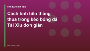 Read more about the article Cách tính tiền thắng thua trong kèo bóng đá Tài Xỉu đơn giản