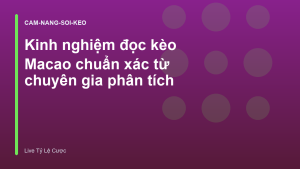 Read more about the article Kinh nghiệm đọc kèo Macao chuẩn xác từ chuyên gia phân tích
